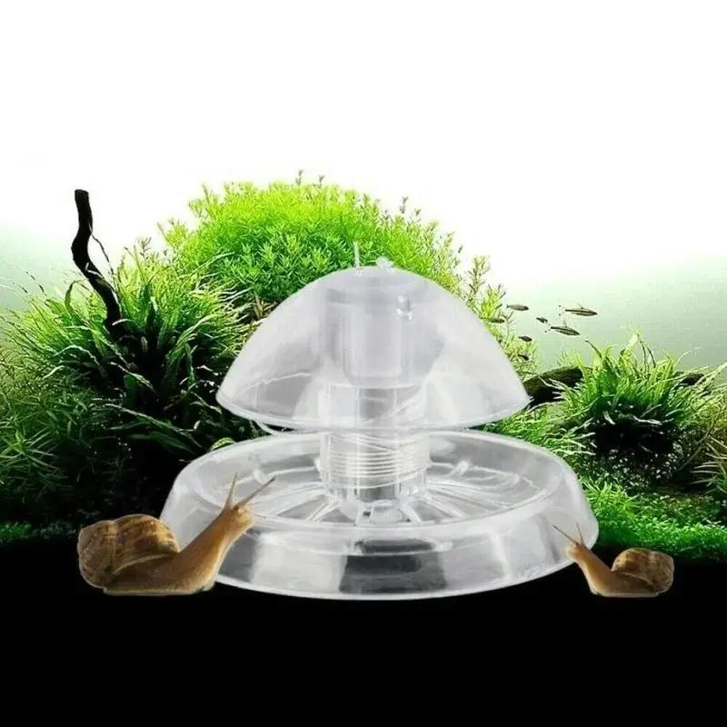 Aquarium Fish Land - 2026 New 6/8CM Clear Plastic Snail