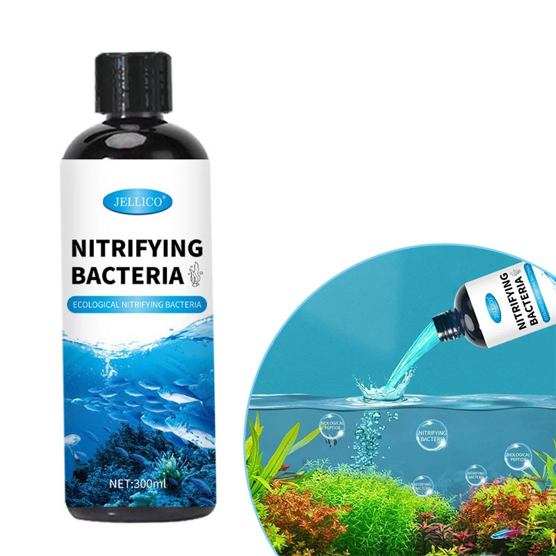 Aquarium Fish Diseases - Nitrifying Bacteria Liquid Fish Tank Water