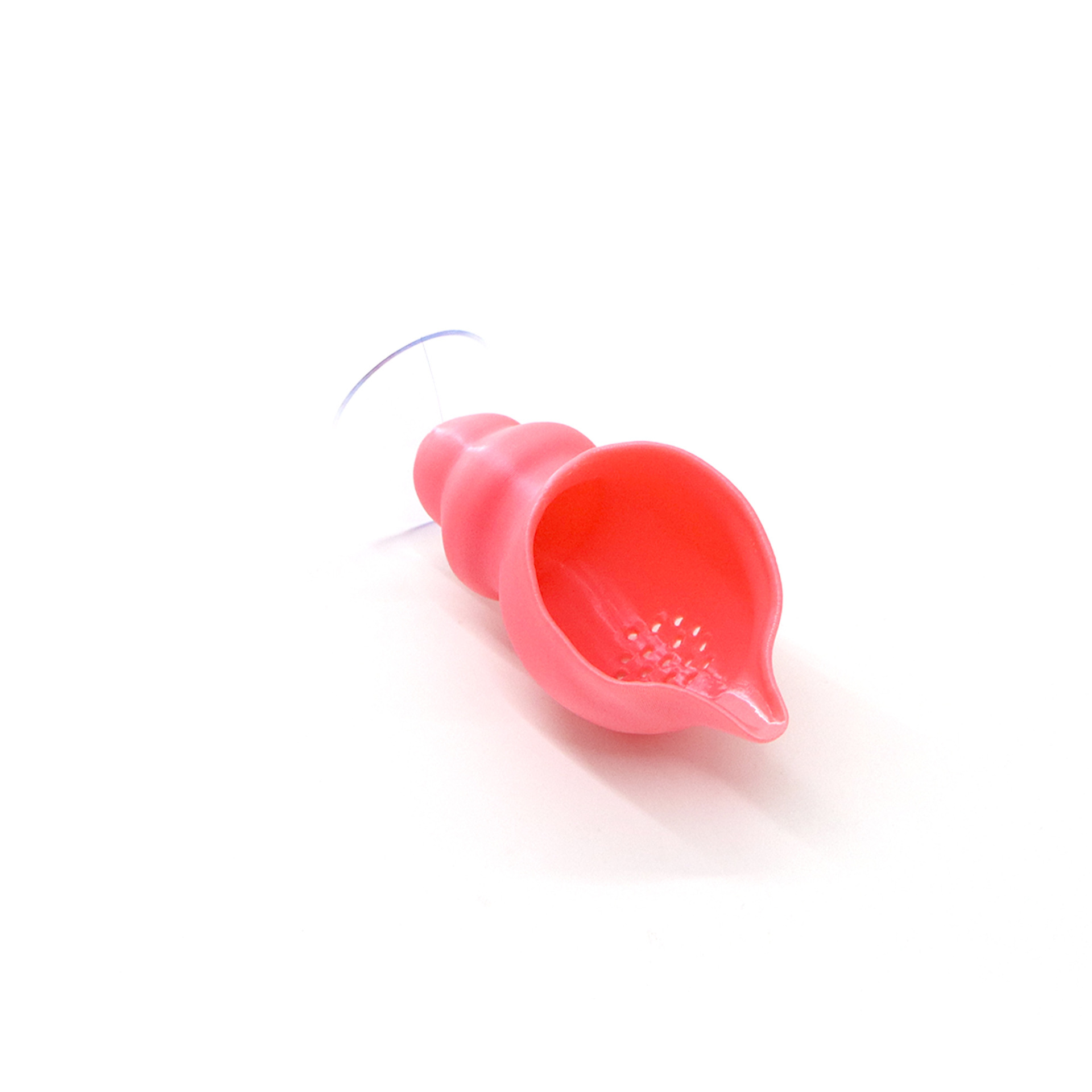 Fish Hiding Caves for Betta an - Aquarium Fish Betta review and price