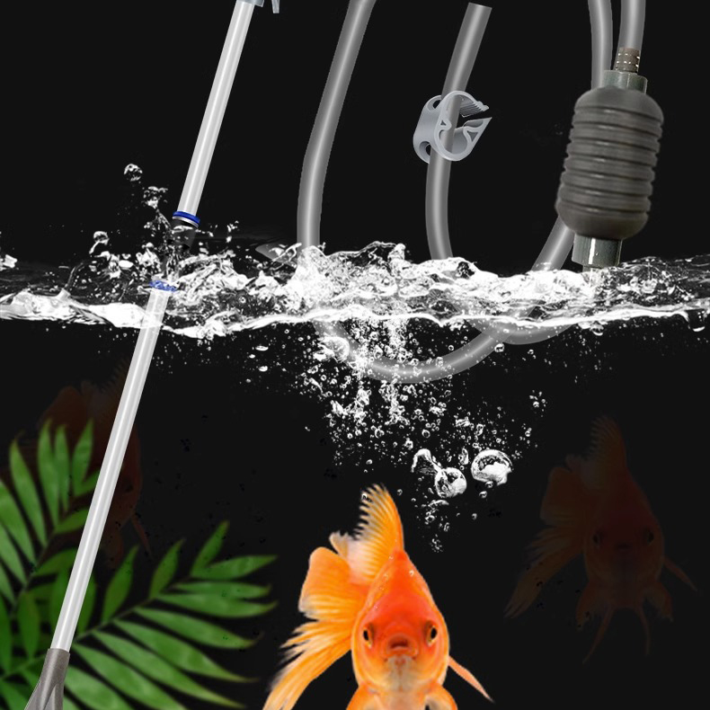 Large Fish Tank Aquarium Sipho - Aquarium Fish Big review and price