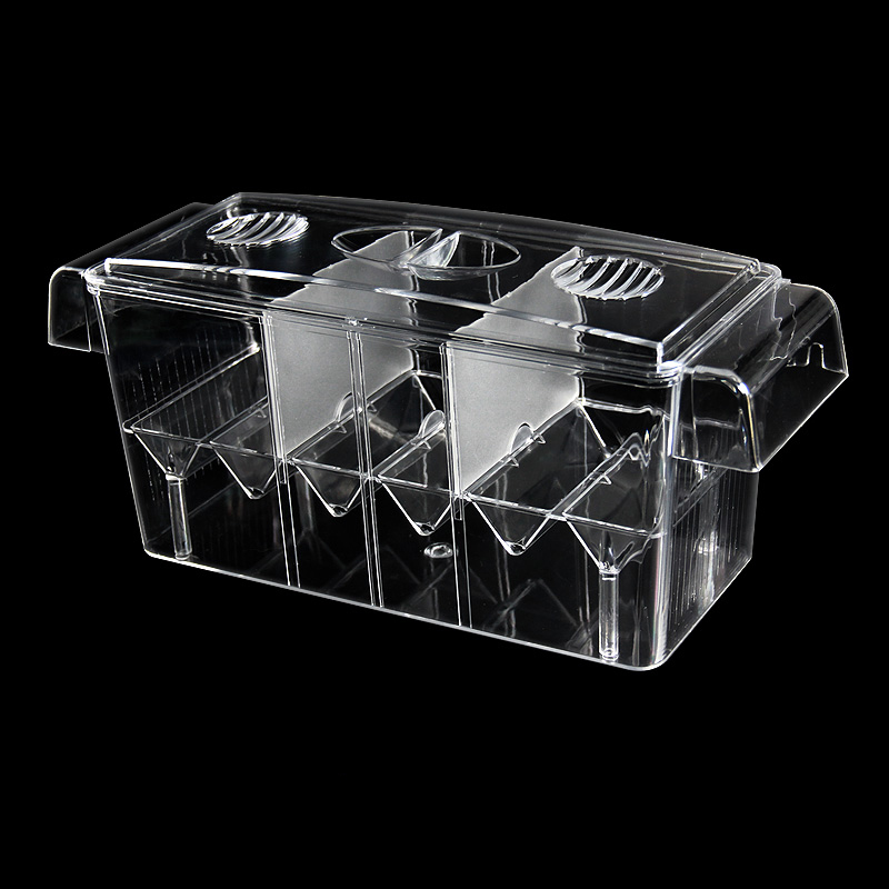 Clear Aquarium Fish Tank Isola - Aquarium Fish Betta review and price