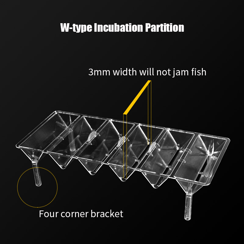 Clear Aquarium Fish Tank Isola - Aquarium Fish Betta review and price