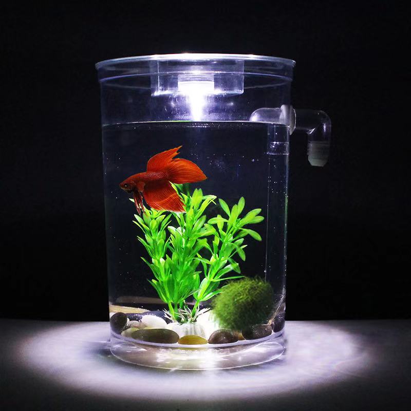 Lazy Free Water Change Desktop - Aquarium Fish Goldfish review and price