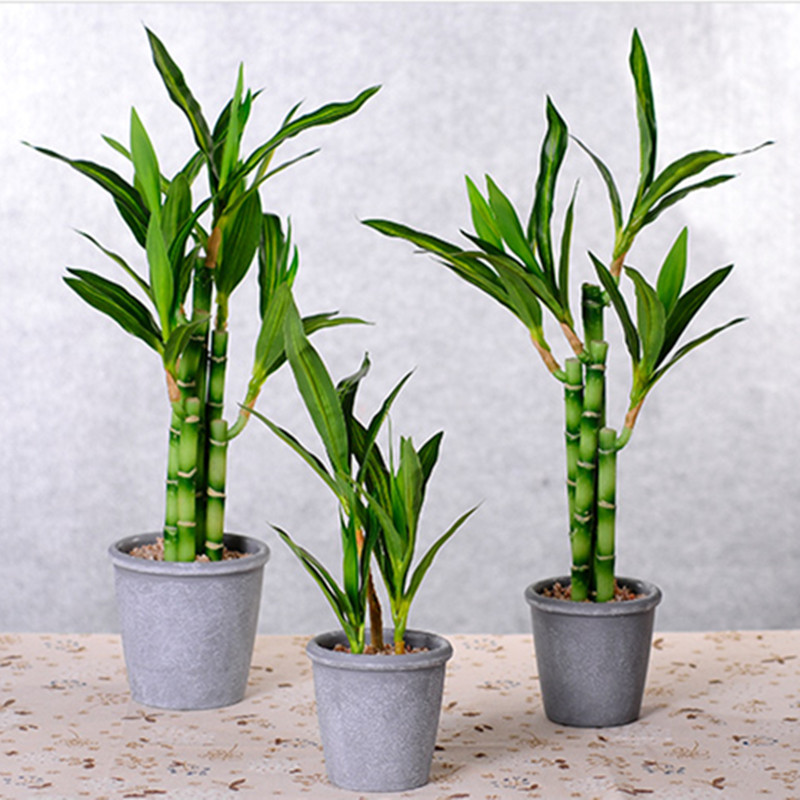 New 40cm Artificial Lucky Bamb - Aquarium Fish Land review and price