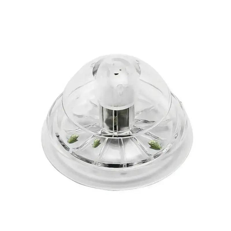 2026 New 6/8CM Clear Plastic S - Aquarium Fish Land review and price