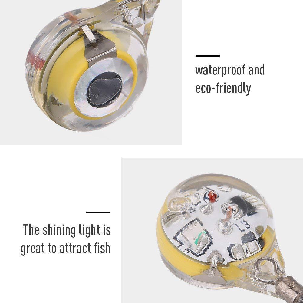 10pcs LED Attracting Fish Ligh - Aquarium Fish Diseases review and price