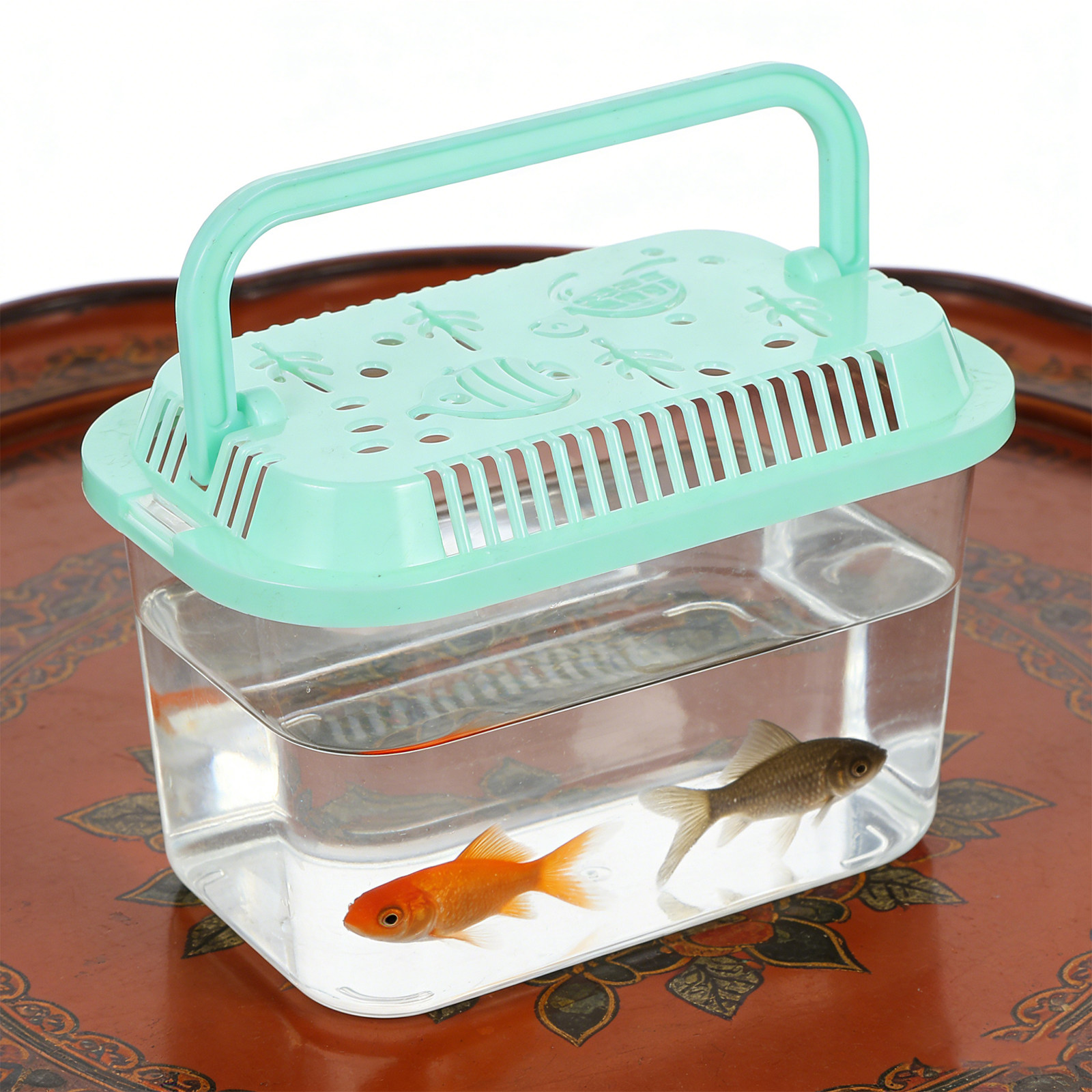5Pcs Portable Fish Transport C - Aquarium Mini Fish review and price
