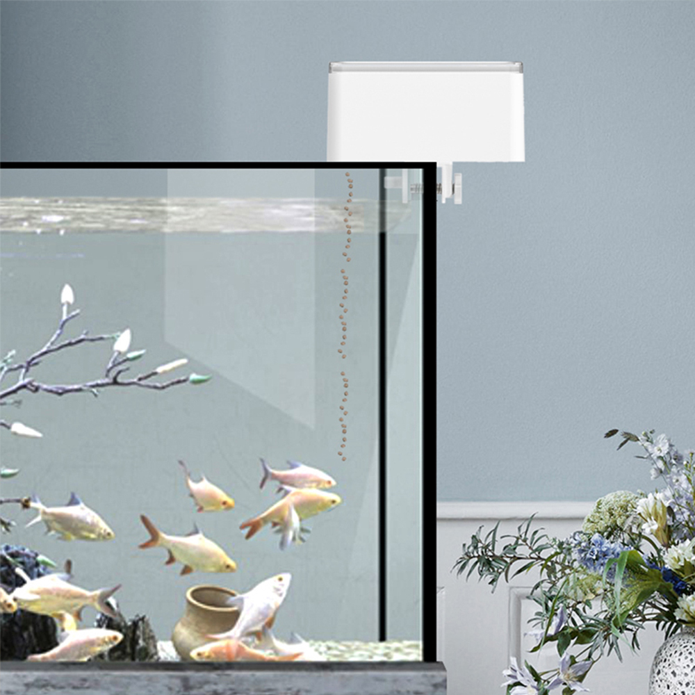 100ML Large Capacity Fish Feed - Aquarium Fish Big review and price