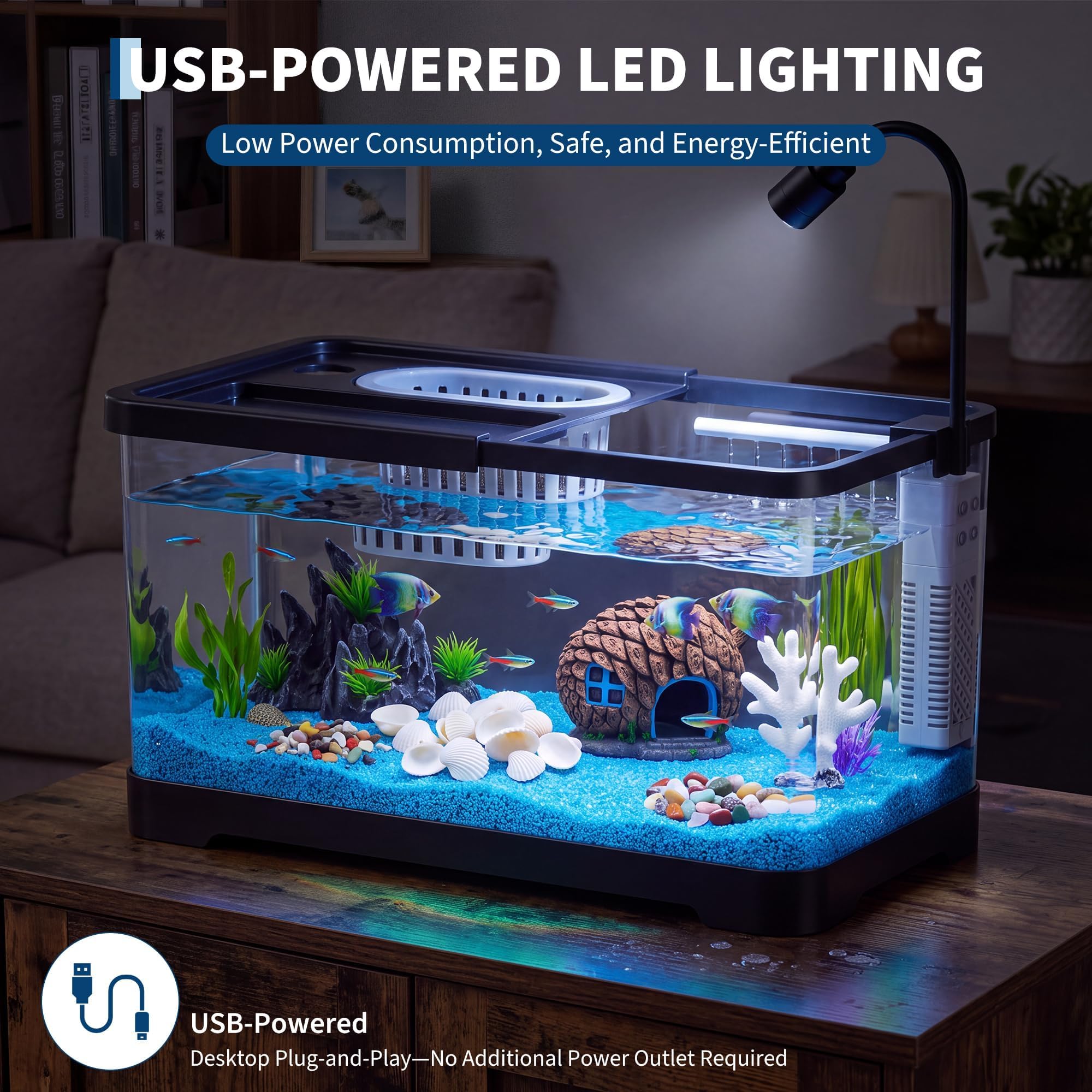 Fish Tank Starter Kit With Fil - Aquarium Fish Goldfish review and price