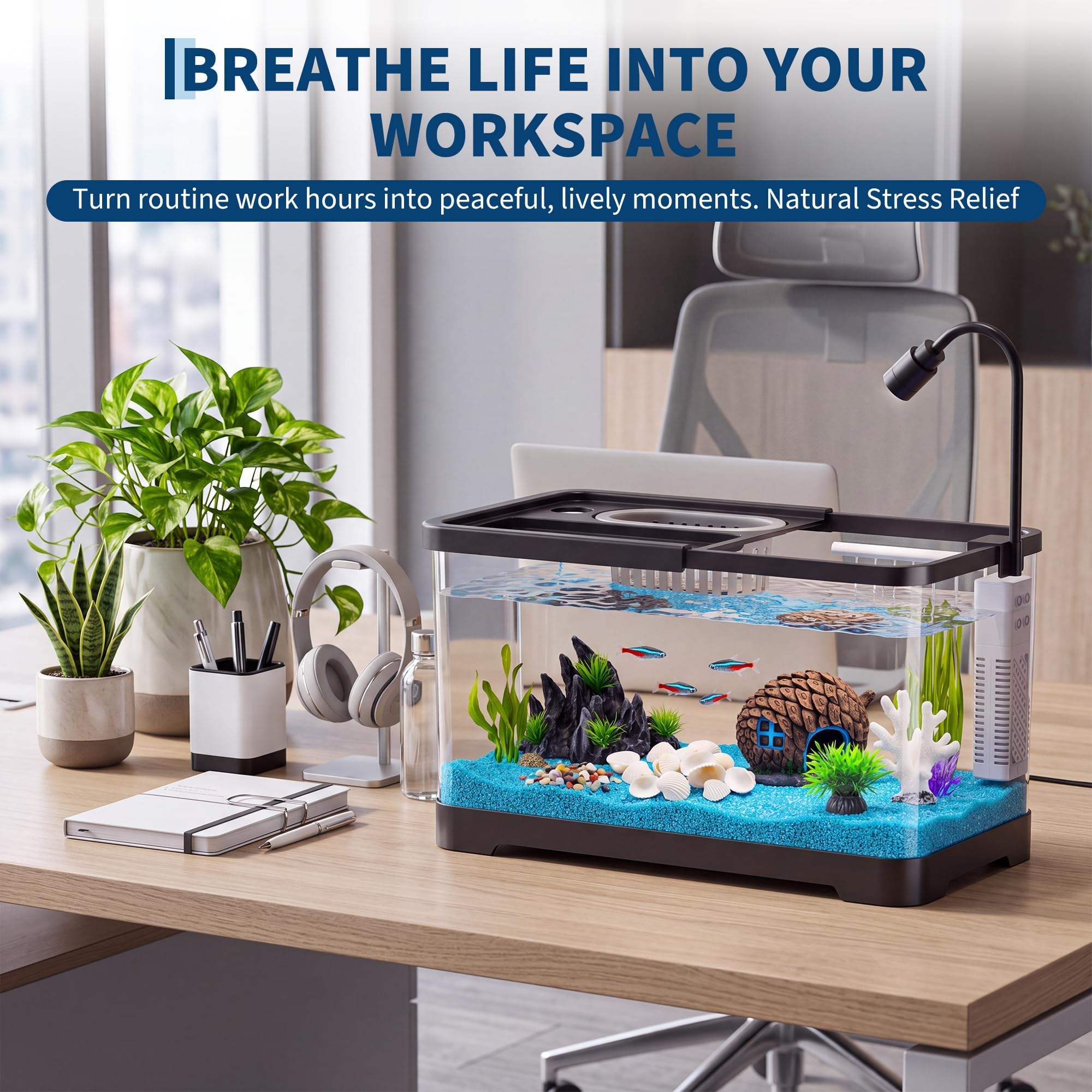 Fish Tank Starter Kit With Fil - Aquarium Fish Goldfish review and price
