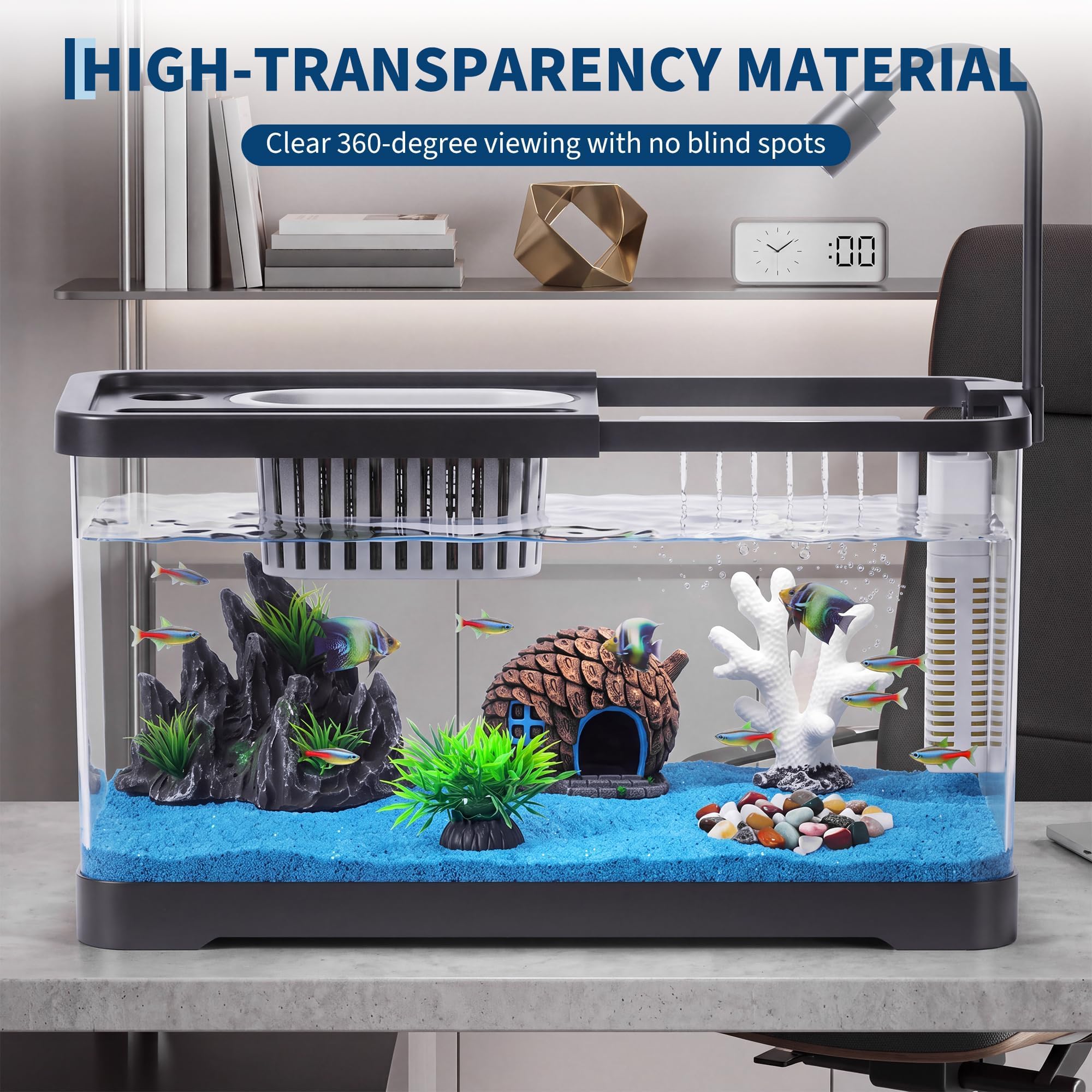 Fish Tank Starter Kit With Fil - Aquarium Fish Goldfish review and price