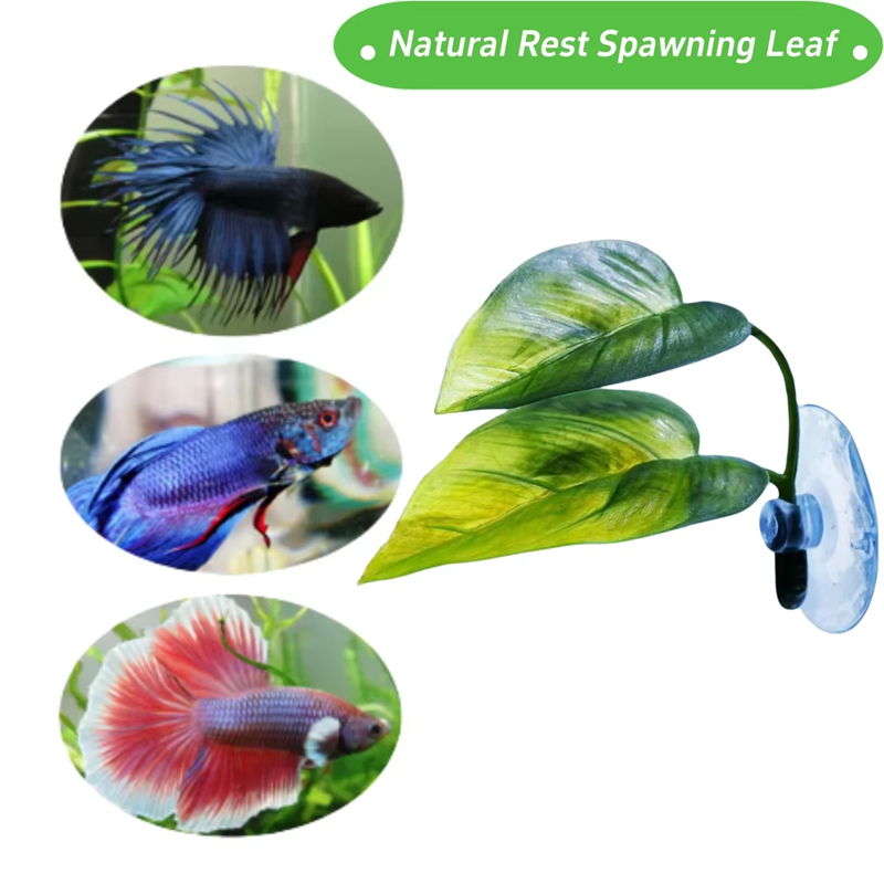 Aquarium Pet Supplies Decorati - Aquarium Fish Betta review and price