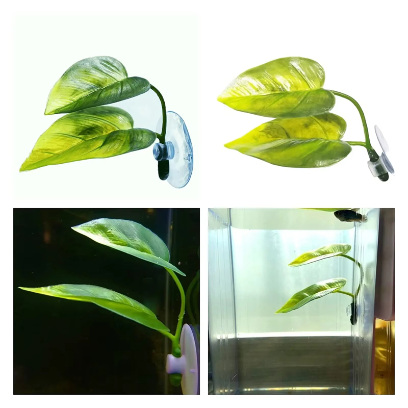 Aquarium Pet Supplies Decorati - Aquarium Fish Betta review and price