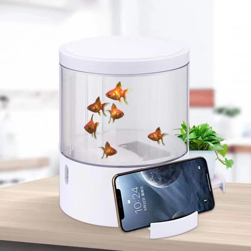 Round colorful lights desktop  - Aquarium Fish Goldfish review and price