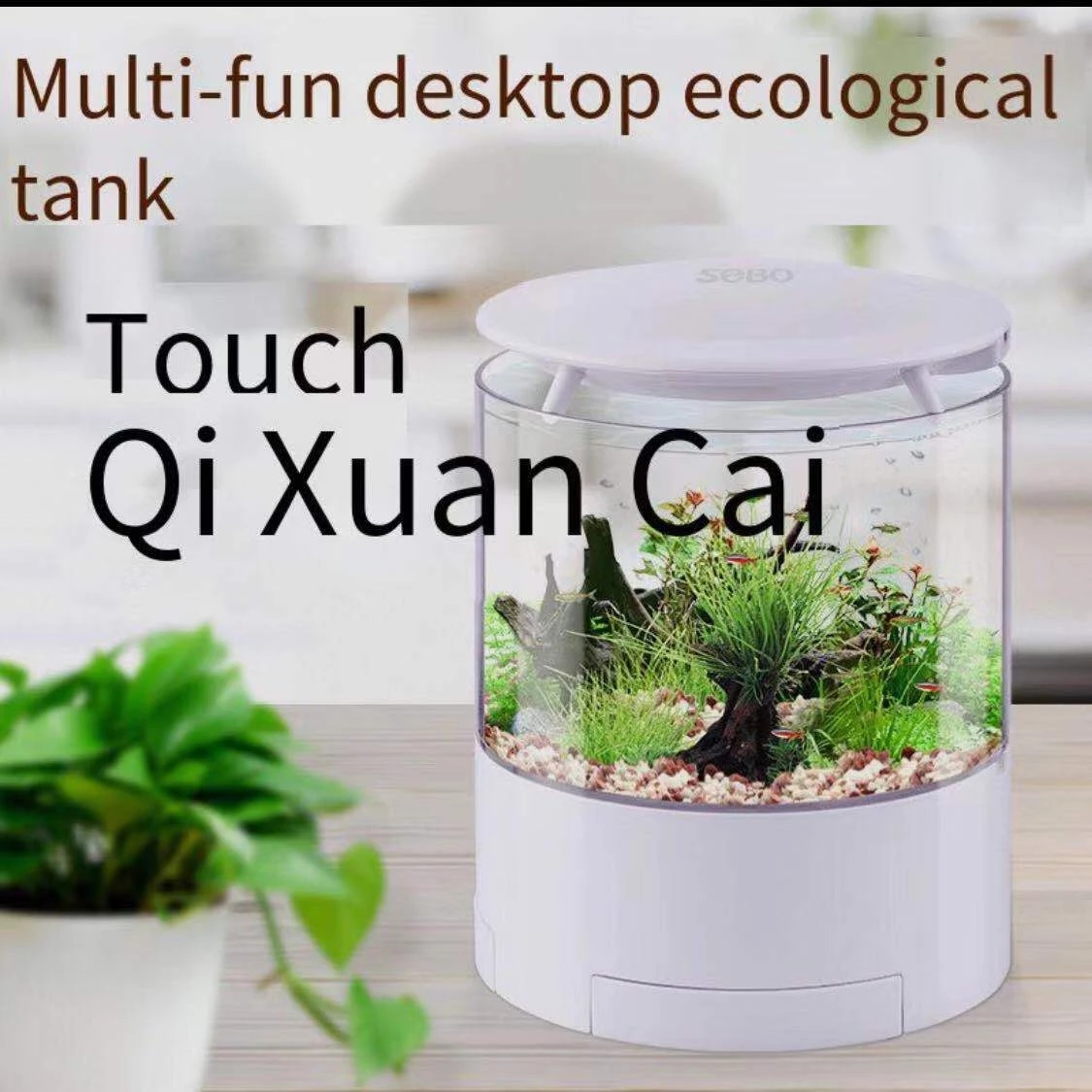 Round colorful lights desktop  - Aquarium Fish Goldfish review and price
