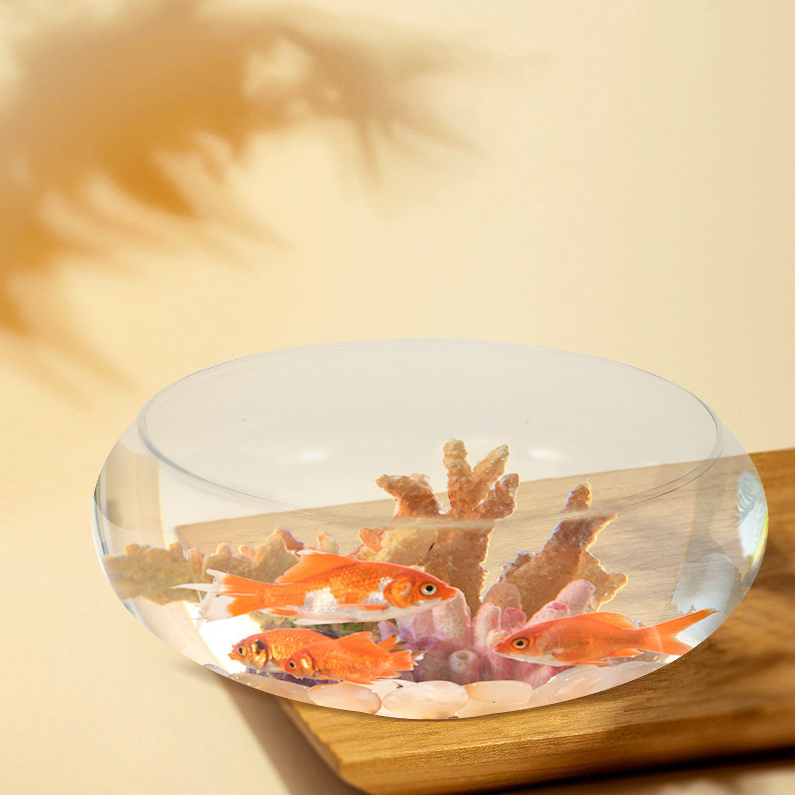 Glass Fish Bowl Small Fish Tan - Aquarium Fish Goldfish review and price