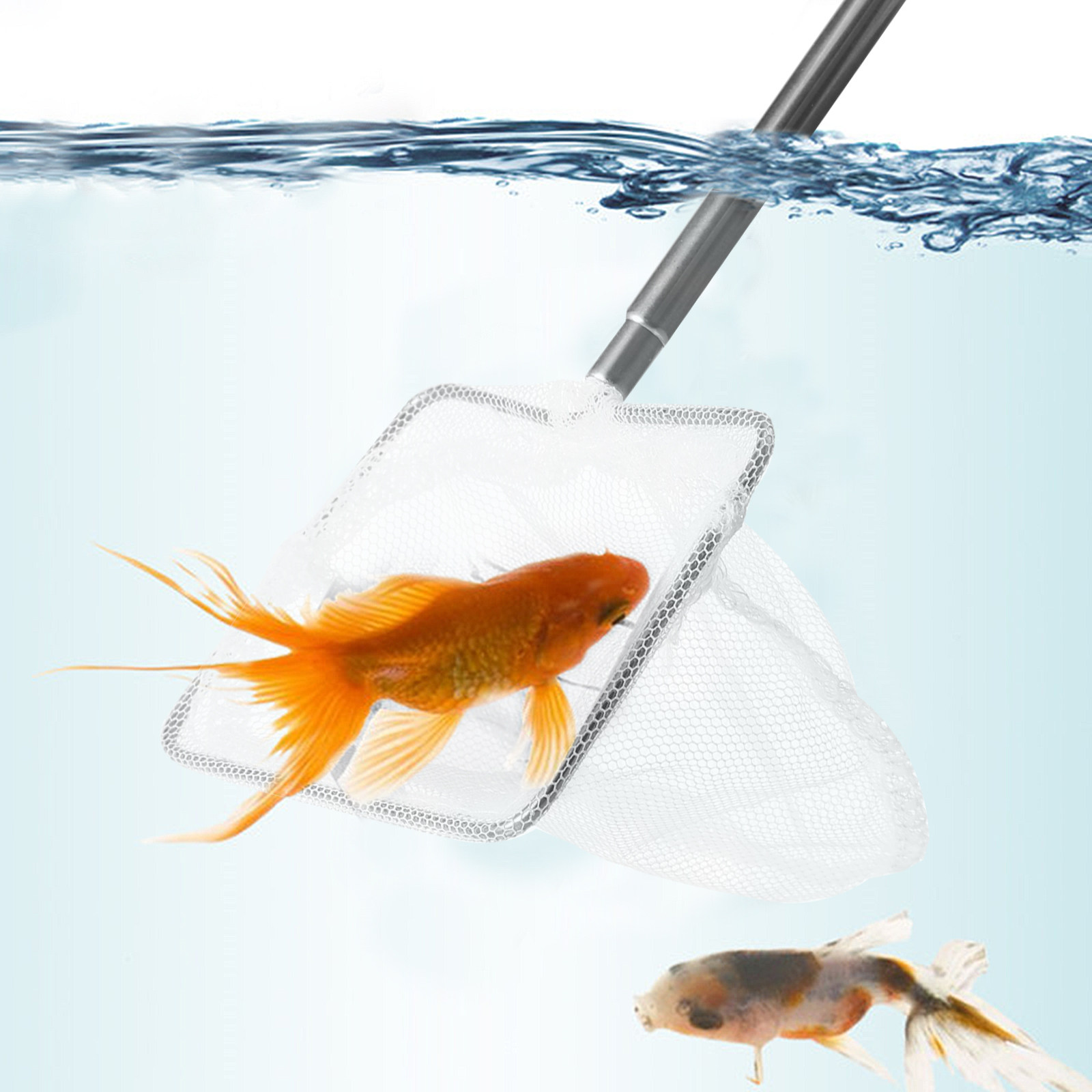 Stainless Steel Fishing Net fo - Aquarium Fish Net Small review and price