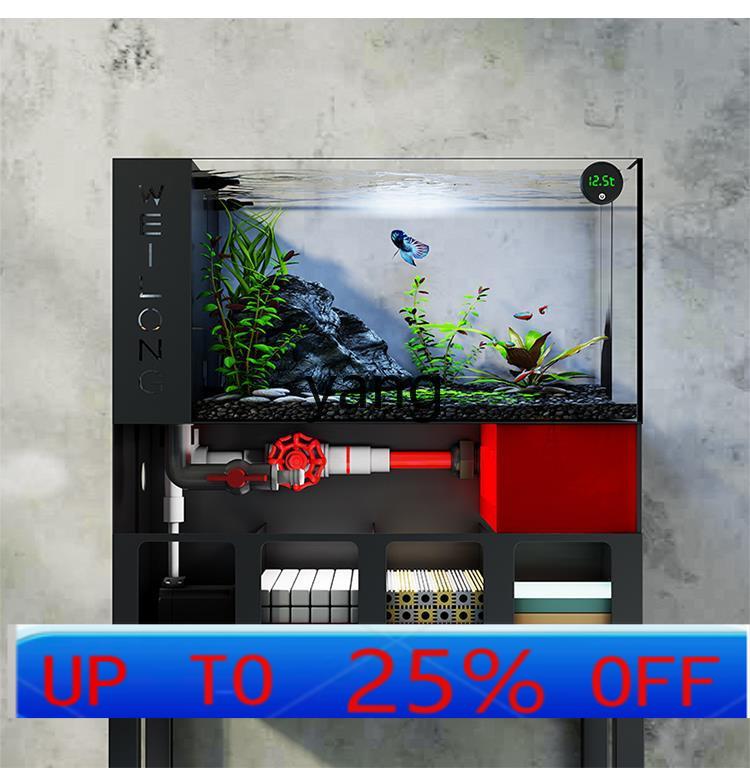Lhh living room small fish tan - Aquarium Fish Goldfish review and price