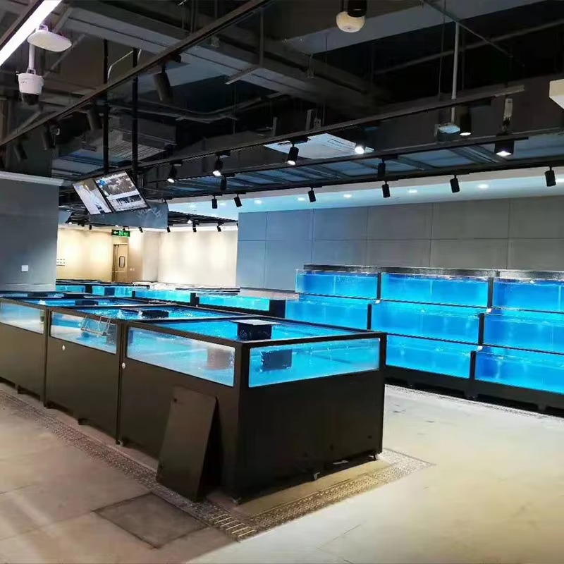 Square Glass Freshwater Fish T - Aquarium Xxl review and price