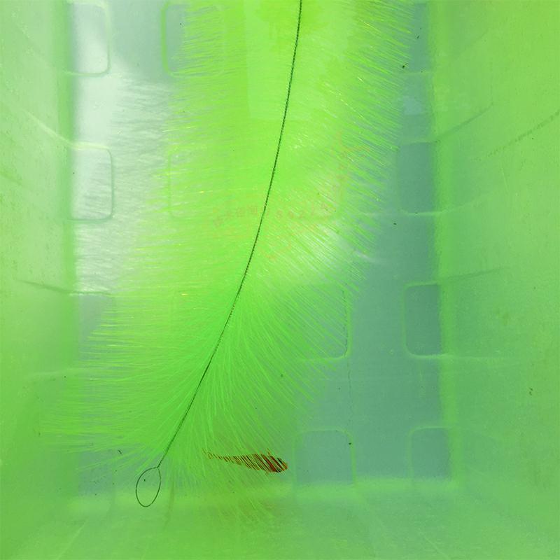 Breeding Grass for Koi Fish Eg - Aquarium Fish Goldfish review and price