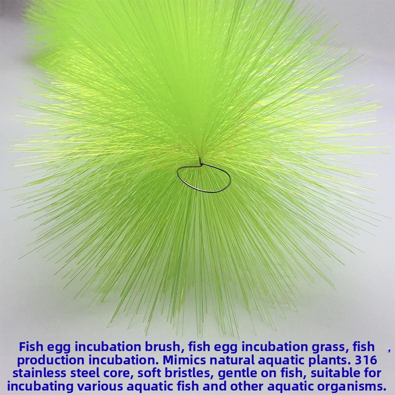Breeding Grass for Koi Fish Eg - Aquarium Fish Goldfish review and price