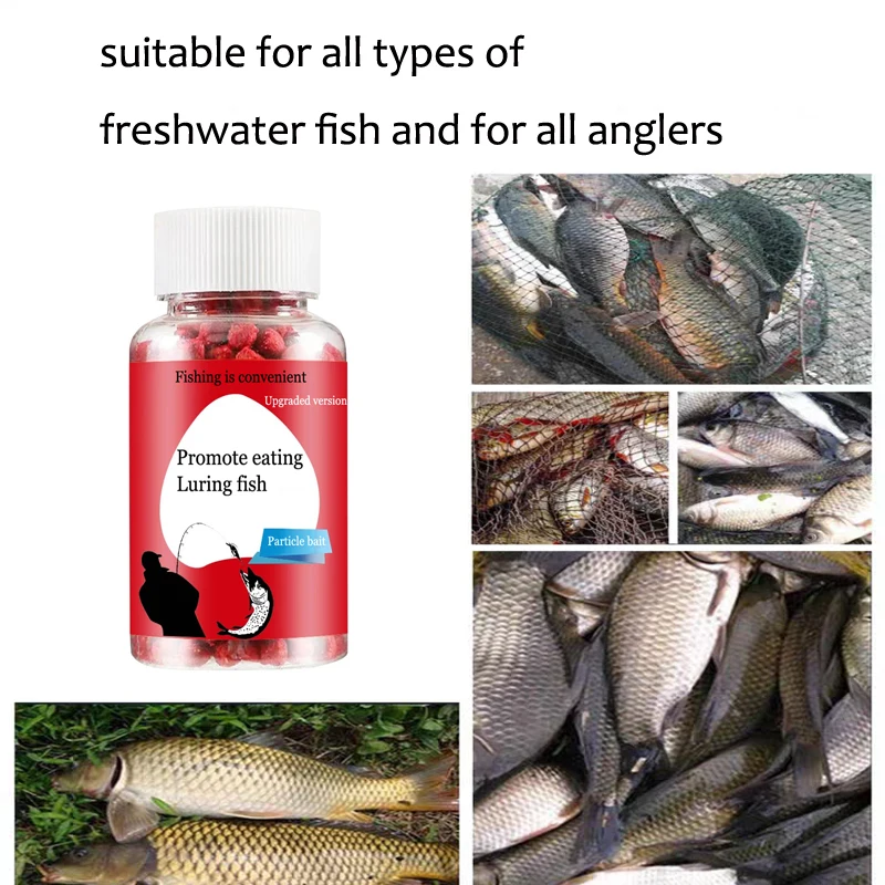 Universal concentrated bait, r - Aquarium Fish Diseases review and price
