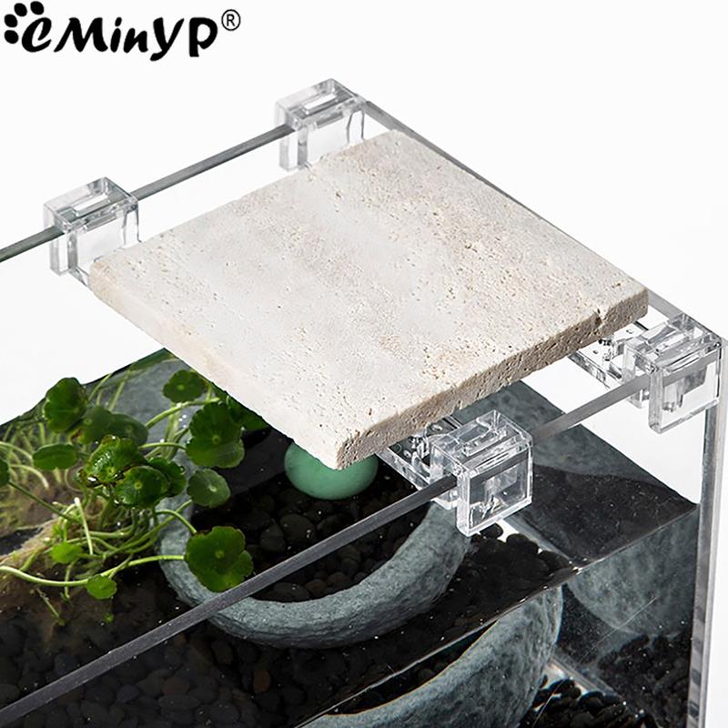 4Pcs Fish Tank Acrylic Clips f - Aquarium Fish Elevator review and price