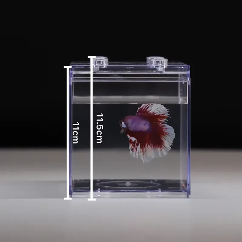 Relaxlines Mini Aquarium Box T - Aquarium Mini Fish review and price