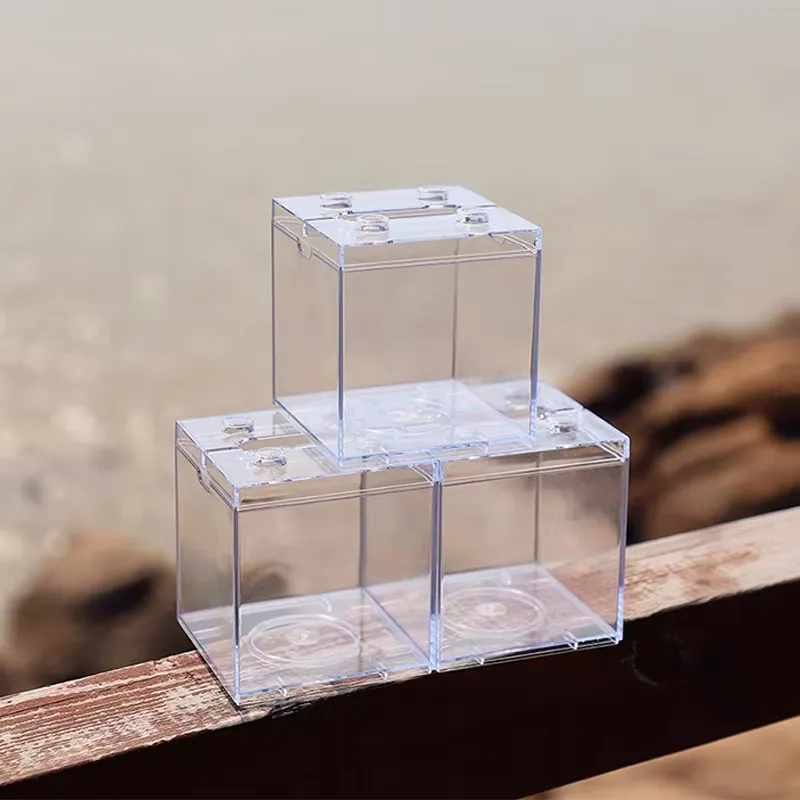 Relaxlines Mini Aquarium Box T - Aquarium Mini Fish review and price