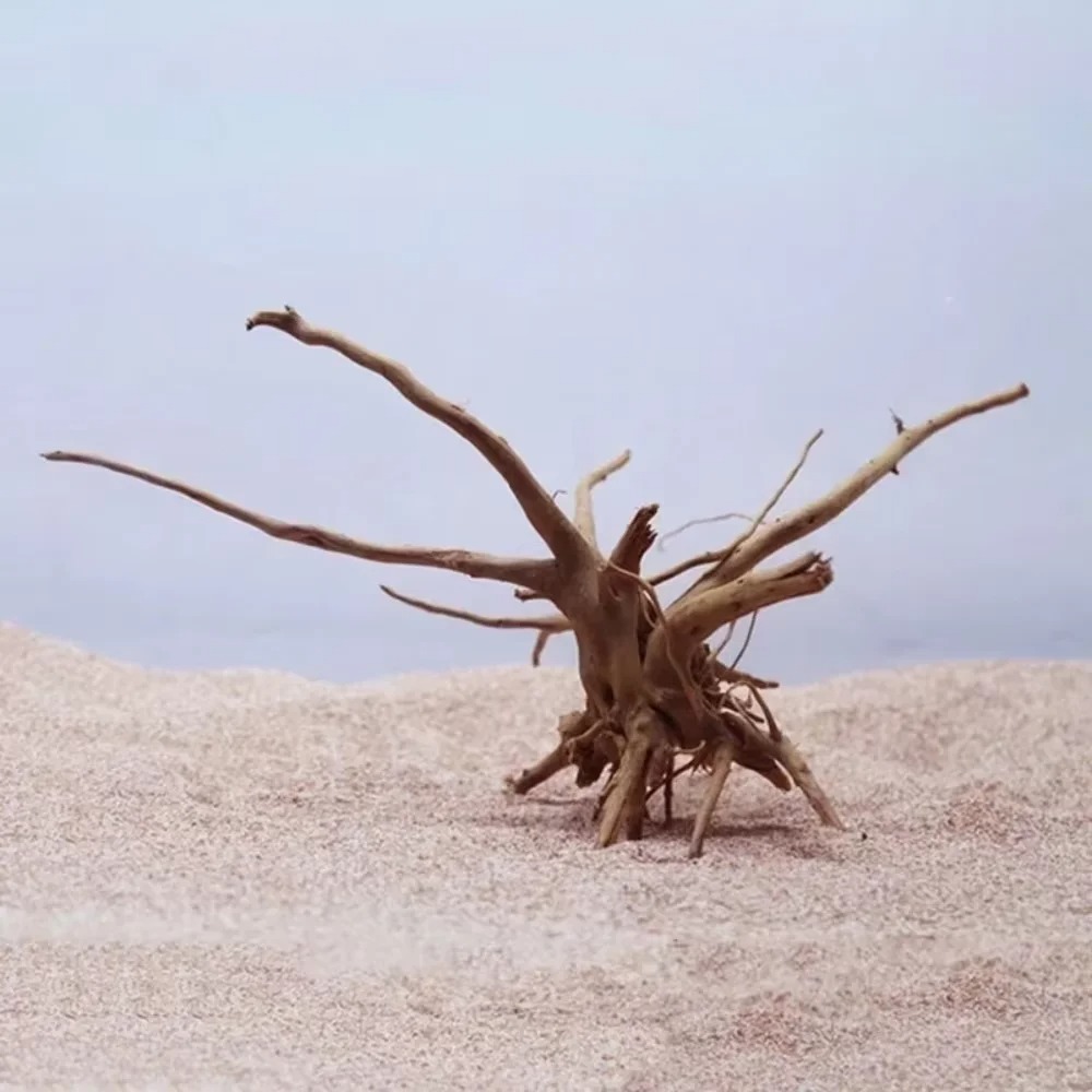 （15-20cm） Natural Driftwood Aq - Aquarium Fish Land review and price