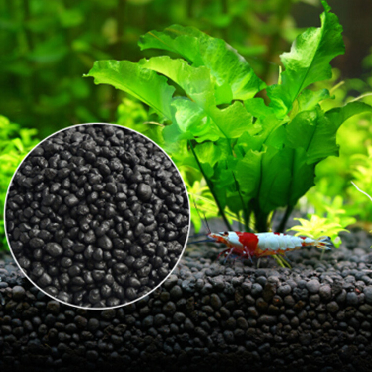 Aquarium Plant Seeds Soil Fish - Aquarium Fish Land review and price