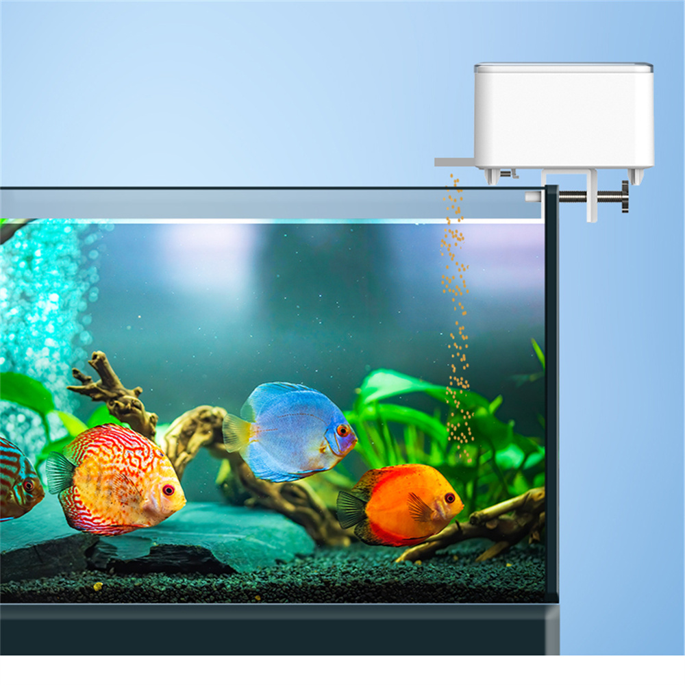 WiFi Smart Automatic Feeder Aq - Aquarium Fish Big review and price