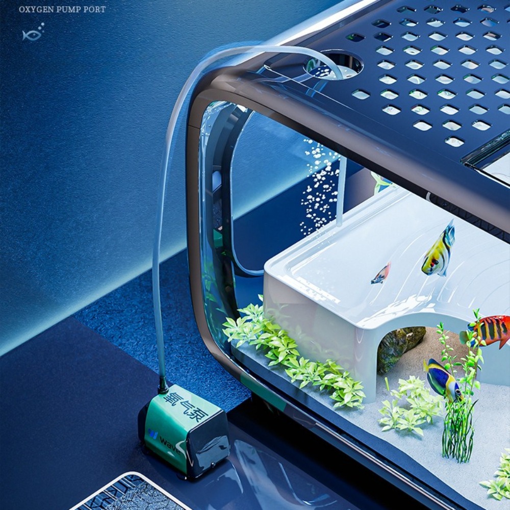 Transparent Luxury Fish Tank D - Aquarium Fish Goldfish review and price
