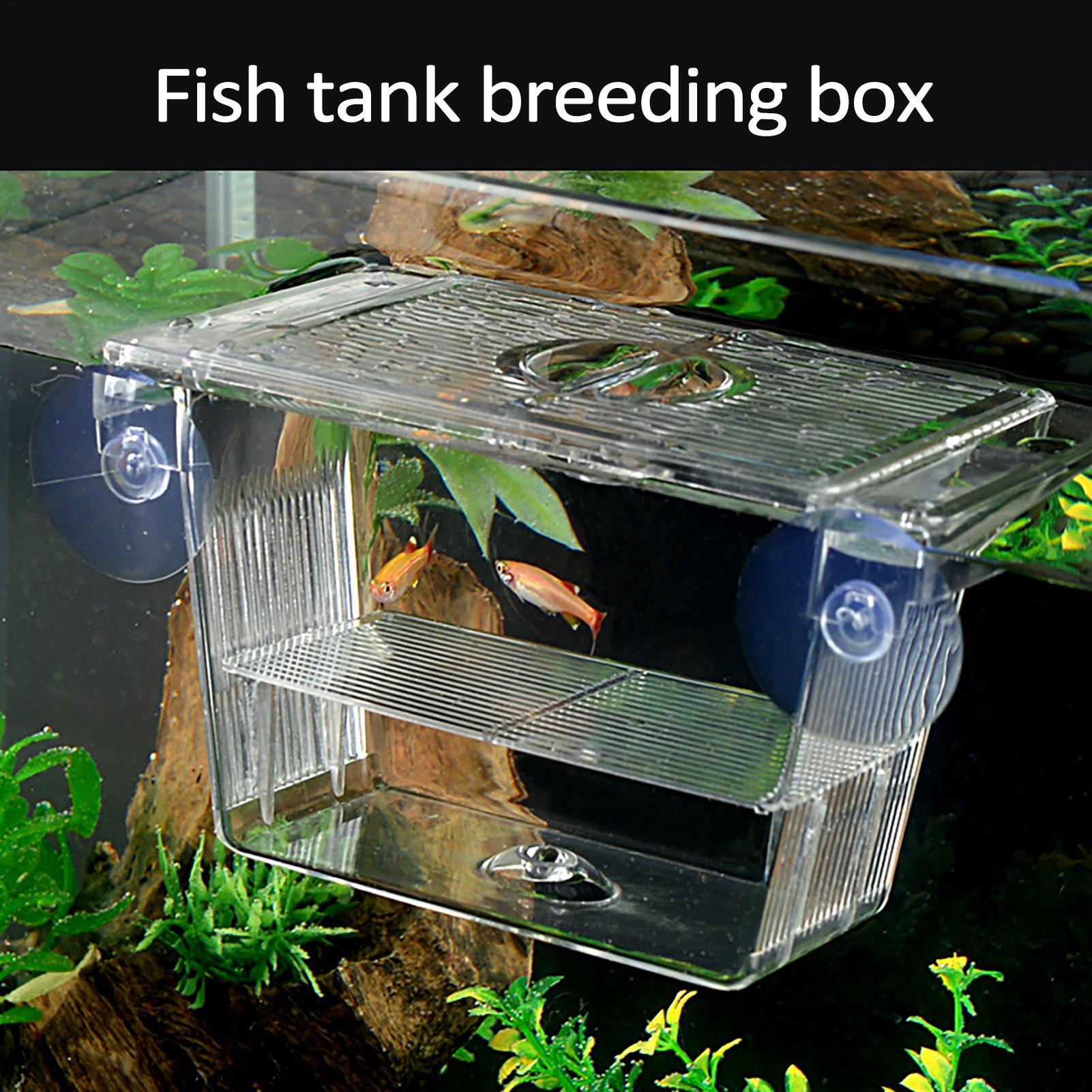 Breeder Box for Fish Tank Tran - Fish Toy In Aquarium review and price