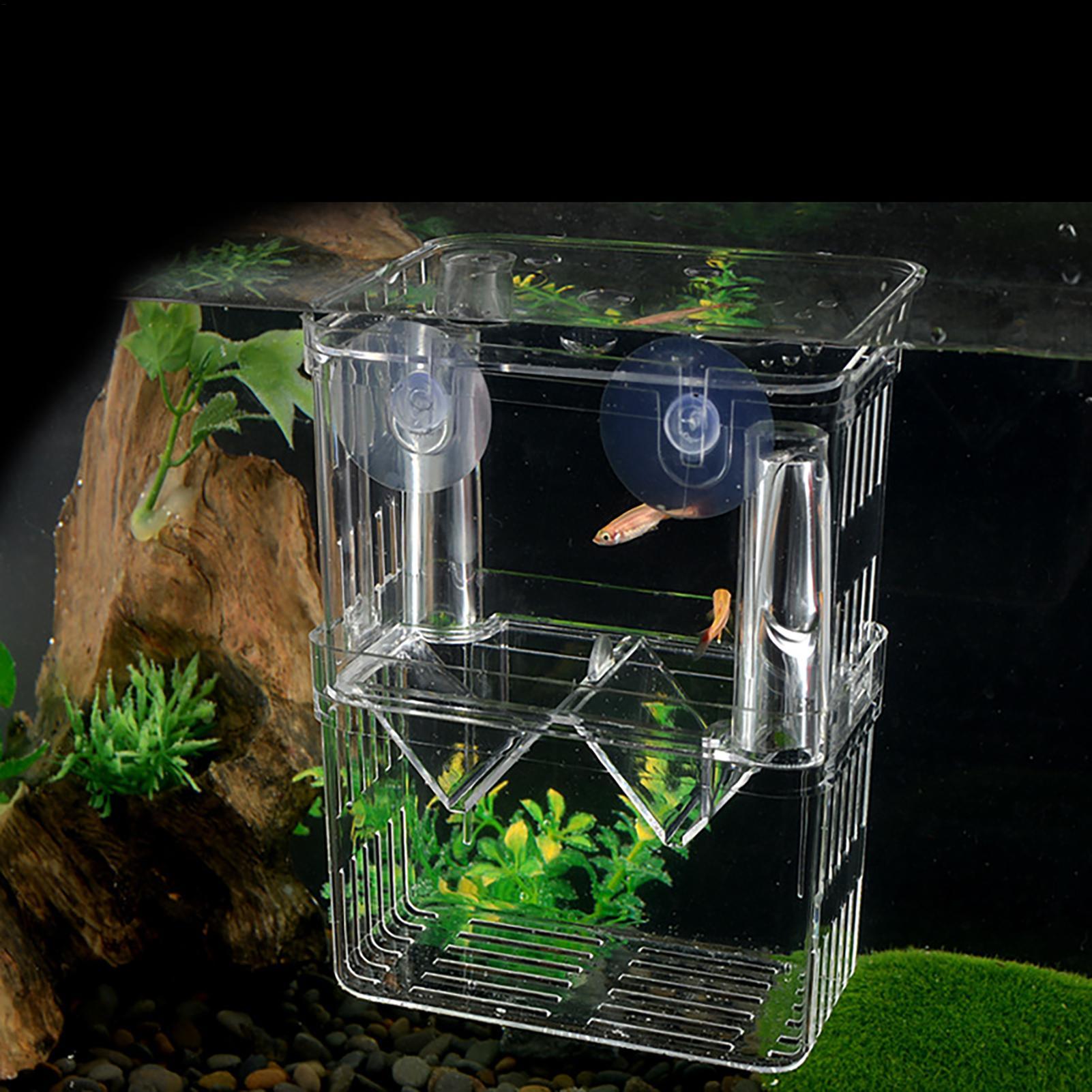 Breeder Box for Fish Tank Tran - Fish Toy In Aquarium review and price