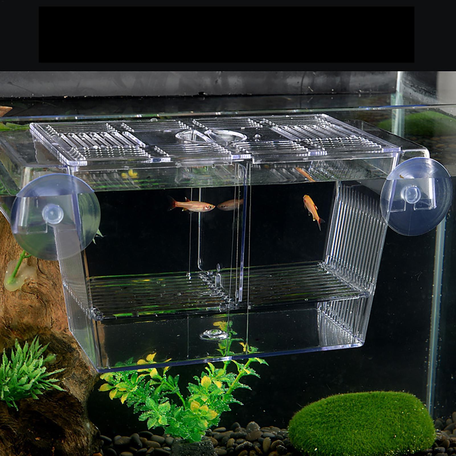 Breeder Box for Fish Tank Tran - Fish Toy In Aquarium review and price