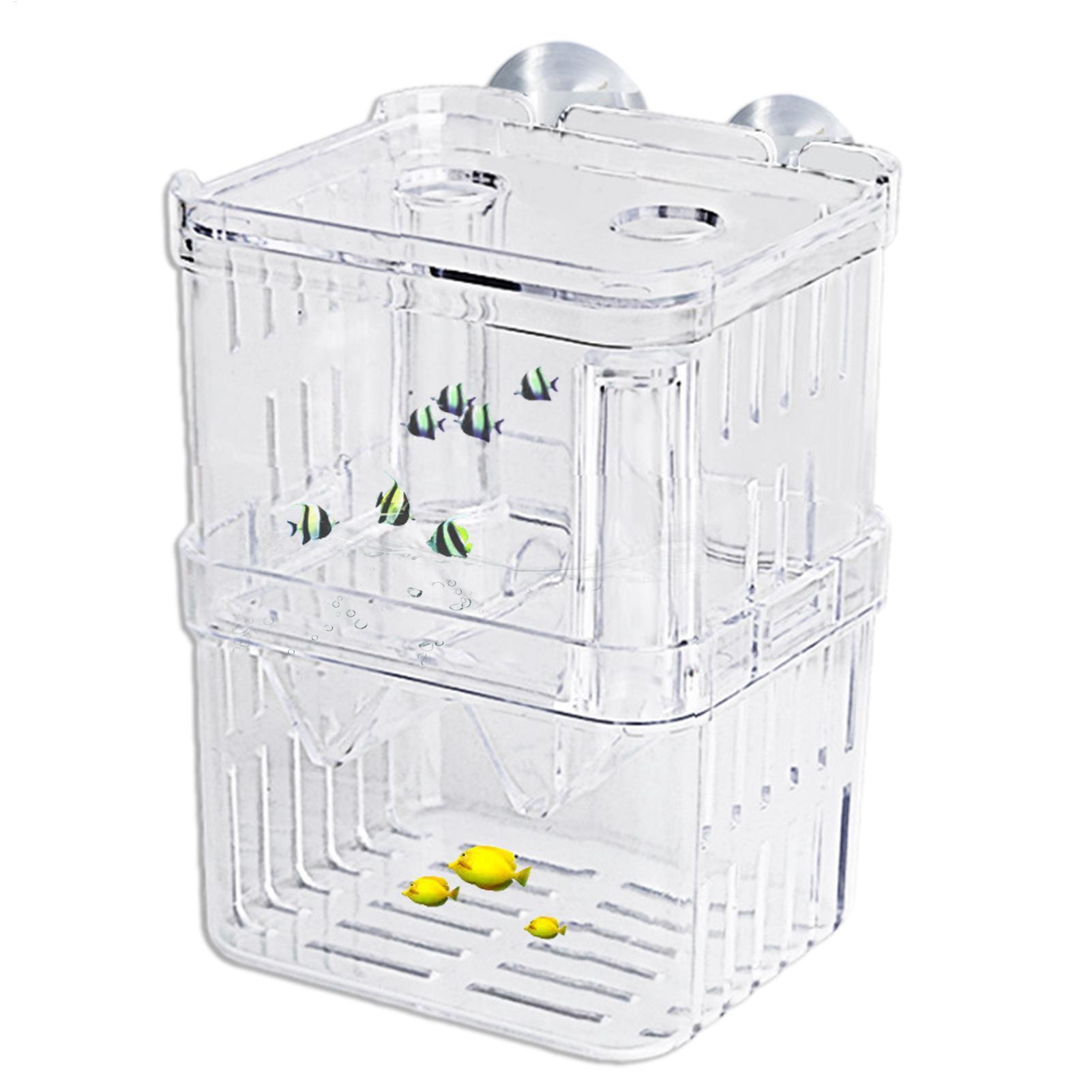 Breeder Box for Fish Tank Tran - Fish Toy In Aquarium review and price