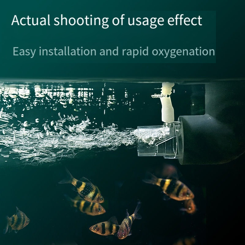 Oxygen Diffuser Pipe Filter At - Aquarium Fish Without Oxygen review and price