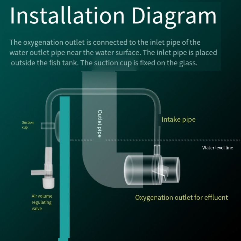 Oxygen Diffuser Pipe Filter At - Aquarium Fish Without Oxygen review and price