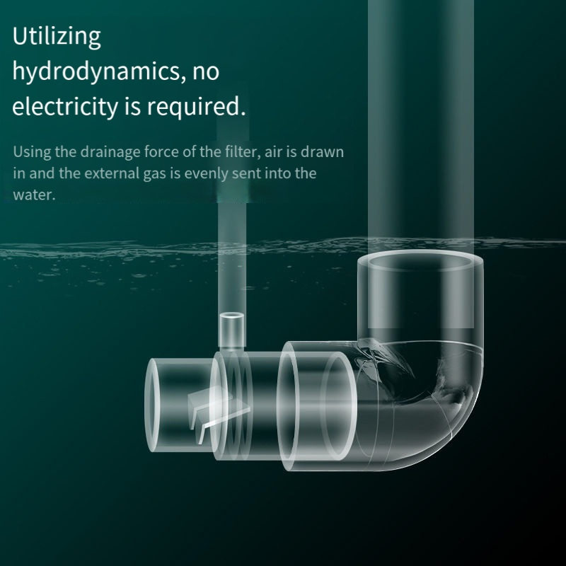 Oxygen Diffuser Pipe Filter At - Aquarium Fish Without Oxygen review and price