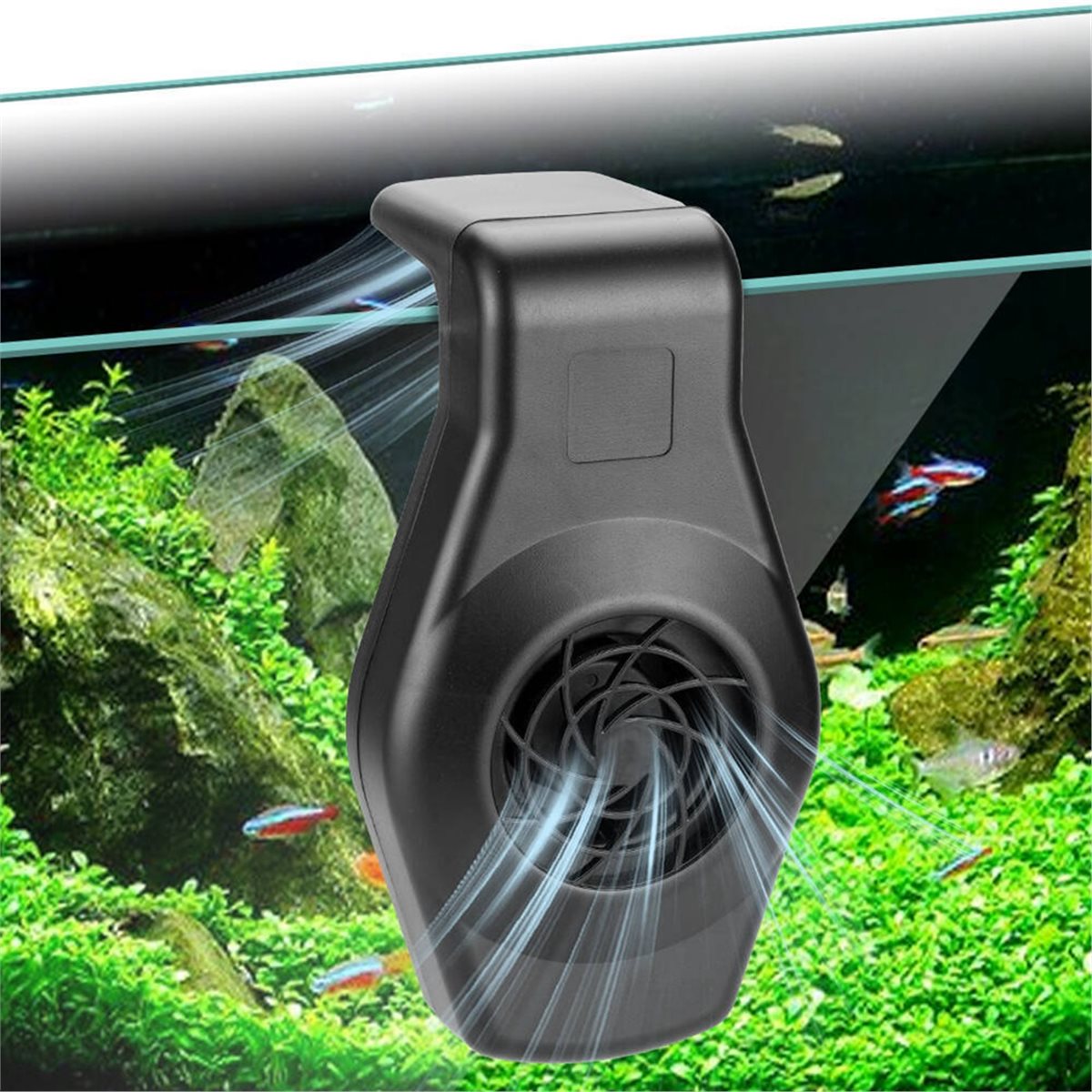 Big Discount Mini Aquarium Chi - Aquarium Fish Big review and price