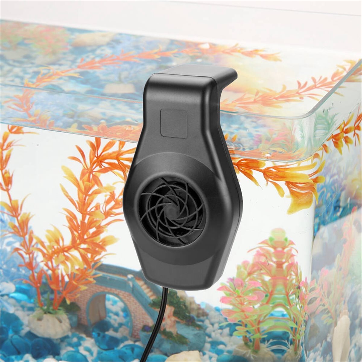 Big Discount Mini Aquarium Chi - Aquarium Fish Big review and price